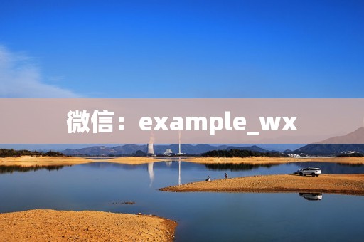 微信：example_wx