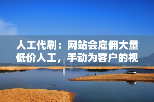 人工代刷：网站会雇佣大量低价人工，手动为客户的视频点赞、评论和关注。