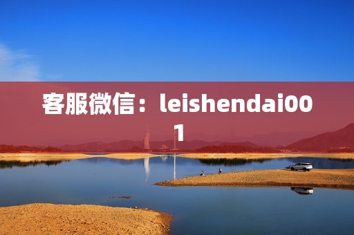 客服微信：leishendai001