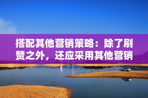 搭配其他营销策略：除了刷赞之外，还应采用其他营销策略，例如创建优质内容、与其他创作者合作以及使用相关标签。