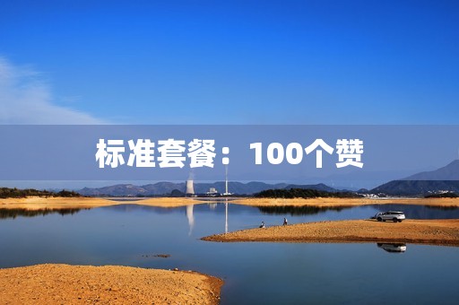 标准套餐：100个赞