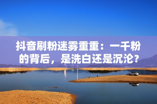 抖音刷粉迷雾重重：一千粉的背后，是洗白还是沉沦？