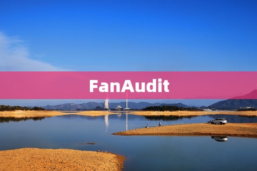 FanAudit