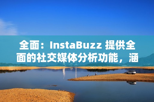 全面：InstaBuzz 提供全面的社交媒体分析功能，涵盖所有主要社交媒体平台。