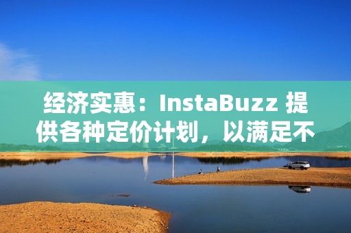 经济实惠：InstaBuzz 提供各种定价计划，以满足不同规模企业的预算。