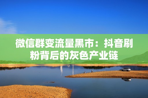 微信群变流量黑市：抖音刷粉背后的灰色产业链