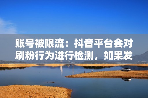 账号被限流：抖音平台会对刷粉行为进行检测，如果发现账号刷粉严重，会对账号进行限流处理，减少账号内容的展示范围。