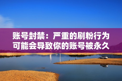 账号封禁：严重的刷粉行为可能会导致你的账号被永久封禁。