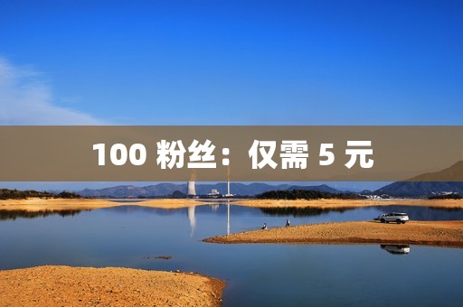 100 粉丝：仅需 5 元