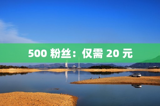 500 粉丝：仅需 20 元