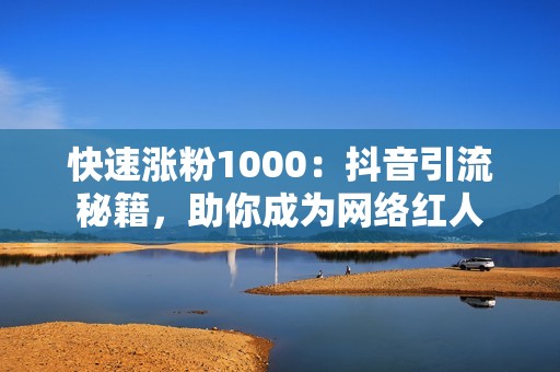 快速涨粉1000：抖音引流秘籍，助你成为网络红人