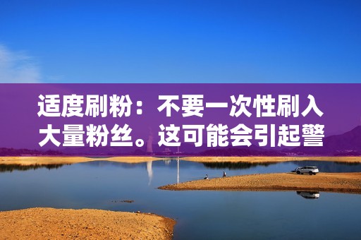 适度刷粉：不要一次性刷入大量粉丝。这可能会引起警觉，并导致您的账号被封禁。建议逐渐刷入粉丝，避免引起怀疑。