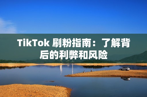 TikTok 刷粉指南：了解背后的利弊和风险