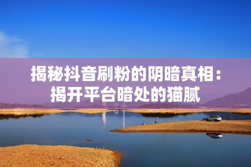 揭秘抖音刷粉的阴暗真相：揭开平台暗处的猫腻