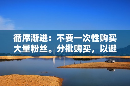 循序渐进：不要一次性购买大量粉丝。分批购买，以避免引起抖音的怀疑。