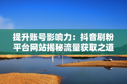 提升账号影响力：抖音刷粉平台网站揭秘流量获取之道