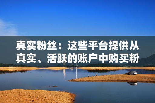 真实粉丝：这些平台提供从真实、活跃的账户中购买粉丝，而不是机器人或空壳账户。