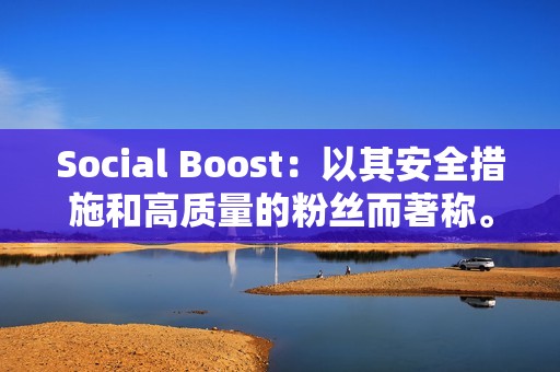 Social Boost：以其安全措施和高质量的粉丝而著称。