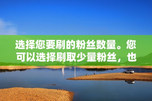 选择您要刷的粉丝数量。您可以选择刷取少量粉丝，也可以选择刷取大量粉丝。选择最适合您需求的号码非常重要。