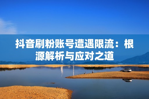 抖音刷粉账号遭遇限流：根源解析与应对之道