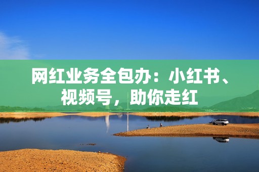 网红业务全包办：小红书、视频号，助你走红