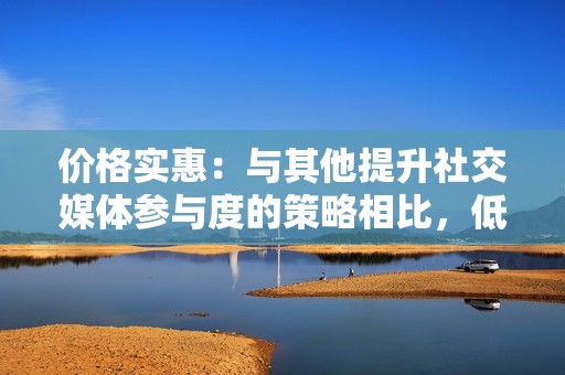 价格实惠：与其他提升社交媒体参与度的策略相比，低价刷赞网站和平台非常实惠。通常，只需支付少量费用，你就可以获得大量点赞、评论和关注者。