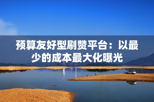 预算友好型刷赞平台：以最少的成本最大化曝光