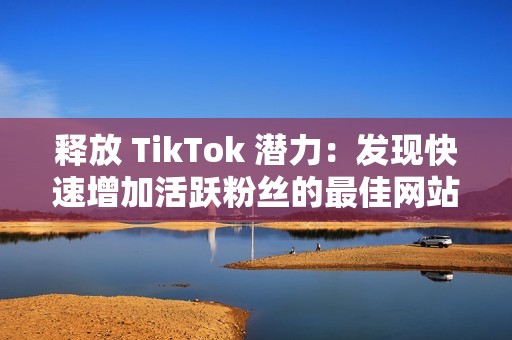 释放 TikTok 潜力：发现快速增加活跃粉丝的最佳网站