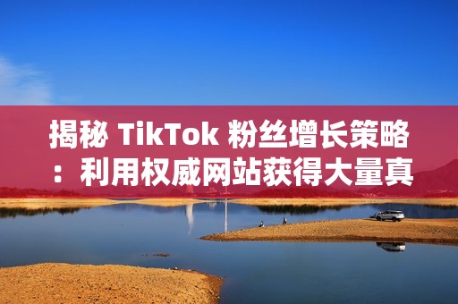 揭秘 TikTok 粉丝增长策略：利用权威网站获得大量真实粉丝