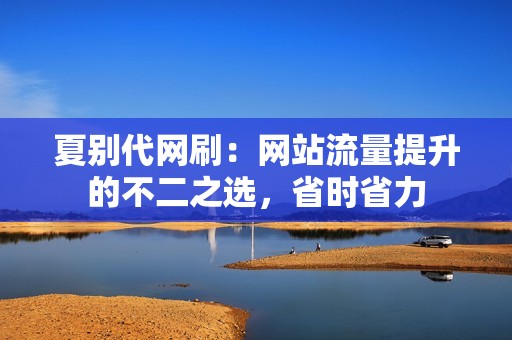 夏别代网刷：网站流量提升的不二之选，省时省力