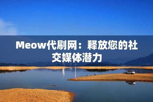 Meow代刷网：释放您的社交媒体潜力