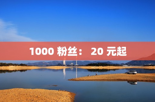 1000 粉丝： 20 元起