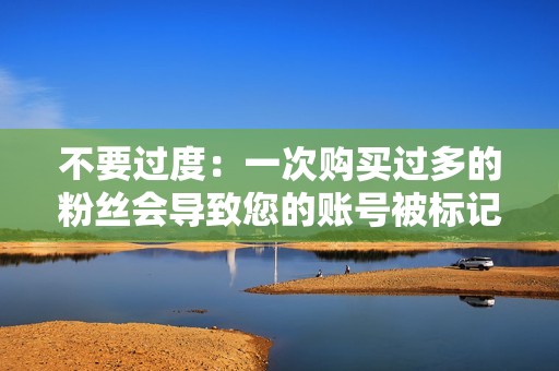 不要过度：一次购买过多的粉丝会导致您的账号被标记为垃圾邮件。