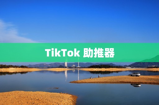 TikTok 助推器