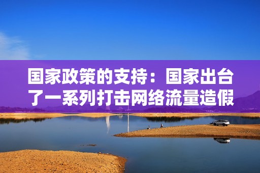 国家政策的支持：国家出台了一系列打击网络流量造假行为的法规政策，为执法机关提供了法律依据。