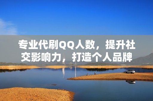 专业代刷QQ人数，提升社交影响力，打造个人品牌