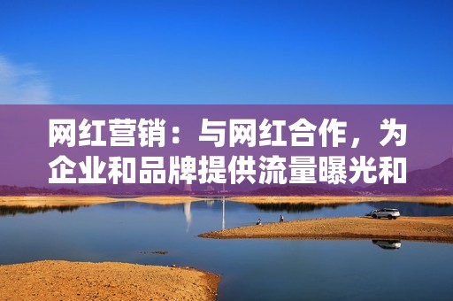 网红营销：与网红合作，为企业和品牌提供流量曝光和粉丝互动。