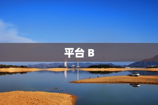 平台 B