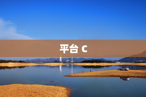 平台 C