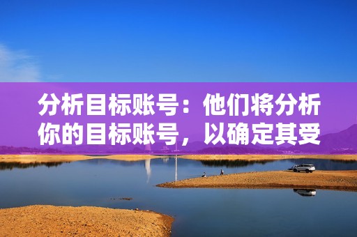 分析目标账号：他们将分析你的目标账号，以确定其受众特征和相关账号。