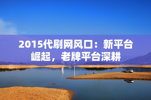 2015代刷网风口：新平台崛起，老牌平台深耕