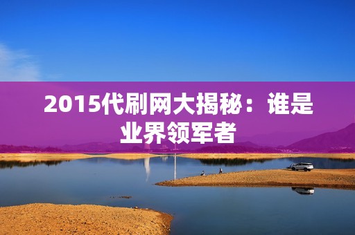 2015代刷网大揭秘：谁是业界领军者