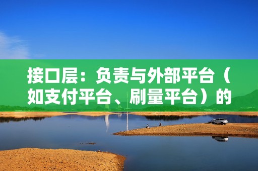 接口层：负责与外部平台（如支付平台、刷量平台）的交互。