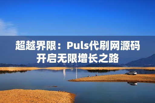 超越界限：Puls代刷网源码开启无限增长之路