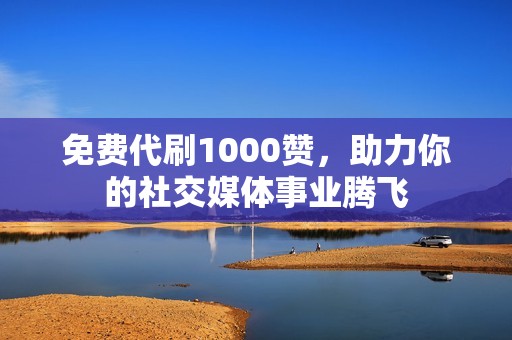 免费代刷1000赞，助力你的社交媒体事业腾飞