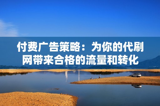 付费广告策略：为你的代刷网带来合格的流量和转化