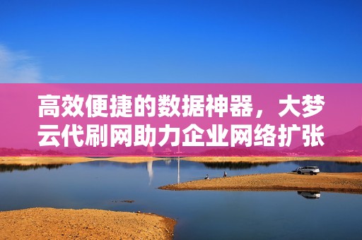 高效便捷的数据神器，大梦云代刷网助力企业网络扩张