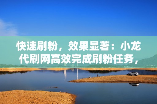 快速刷粉，效果显著：小龙代刷网高效完成刷粉任务，大幅提升你的社交媒体参与度