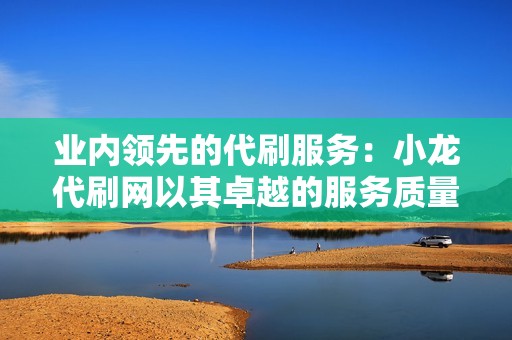 业内领先的代刷服务：小龙代刷网以其卓越的服务质量和客户满意度著称