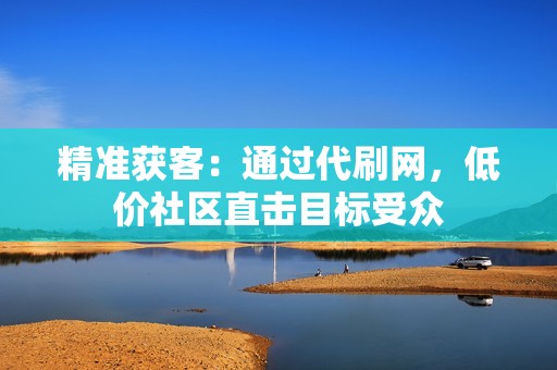 精准获客：通过代刷网，低价社区直击目标受众